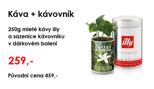 Mletá káva a sezenice kávovníku